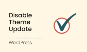 Read more about the article Manually disable theme updating without a plugin