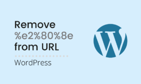 How to remove %e2%80%8e from URL