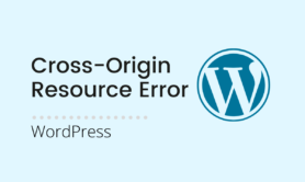Cross-Origin Resource Sharing Policy Error