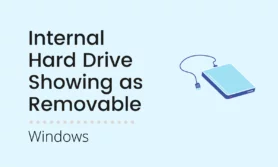 Read more about the article Internal Hard drive showing in “Safely remove Hardware”
