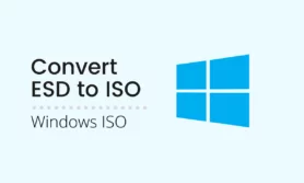 Read more about the article How to convert ESD to ISO